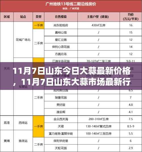 山东大蒜最新行情报道,价格动态与市场分析(11月7日)