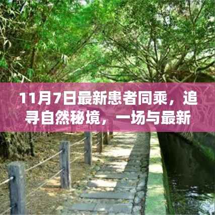 浅笑轻吟梦一曲 第16页
