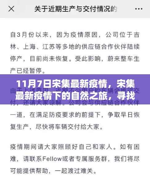 宋集最新疫情下的自然探索，内心宁静与欢笑的寻找之旅