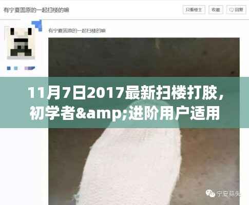 初学者与进阶用户适用的扫楼打胶实战指南,最新扫楼打胶技巧专版(附实战步骤)