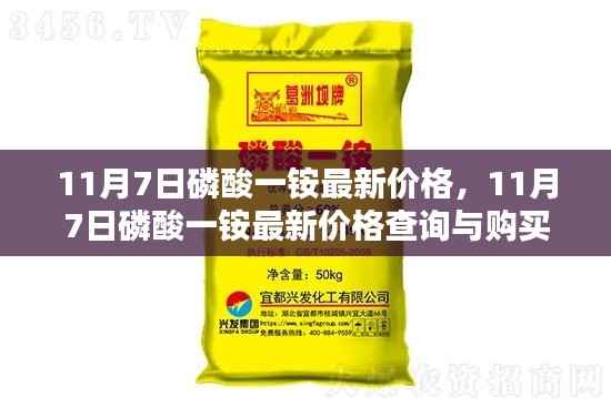 联系我们 第376页