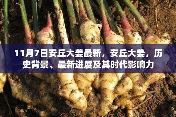 联系我们 第374页