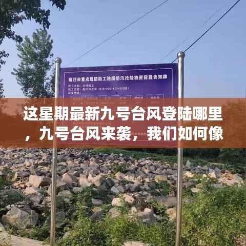 九号台风登陆地点揭秘,如何像学习变化一样拥抱挑战,扬帆起航迎接挑战