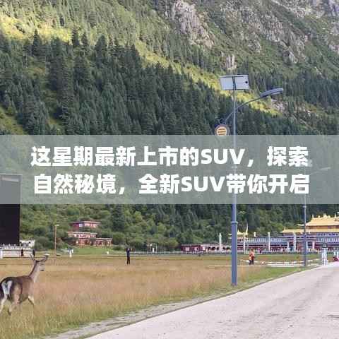 全新上市SUV，带你探索自然秘境的心灵之旅