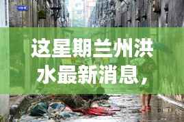 虎视眈眈 第13页