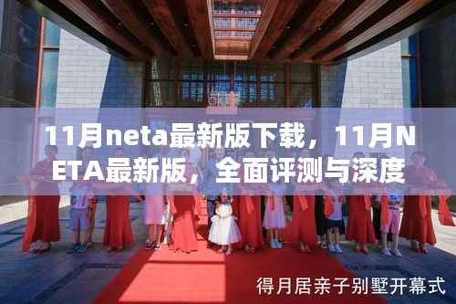 11月NETA最新版下载，全面评测与深度介绍
