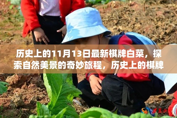 营销网络 第349页