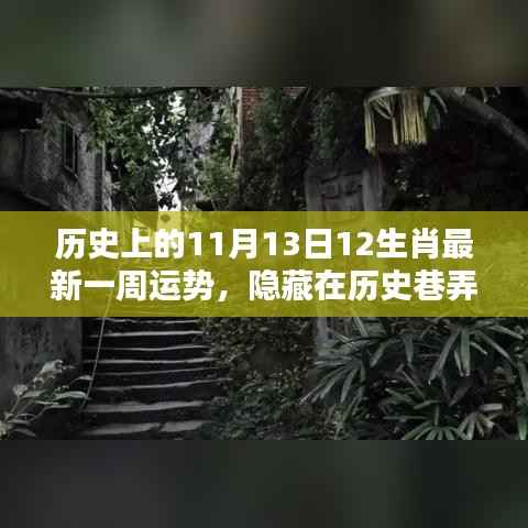 历史巷弄中的秘密,揭秘11月13日十二生肖一周运势与特色小店的奇妙缘分