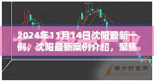 聚焦沈阳,最新案例介绍与独特产品评测(2024年11月14日)