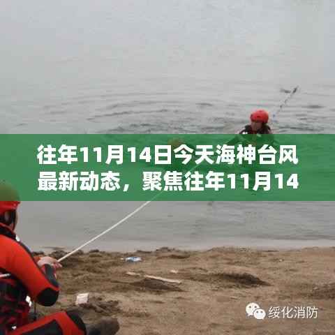 聚焦往年11月14日台风海神动态,深度探讨与观点阐述