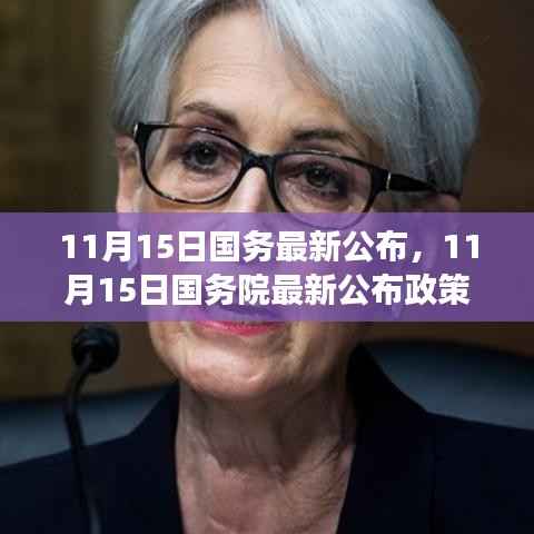 国务院最新政策解读,某某观点下的深度分析,11月15日新政公布影响探讨
