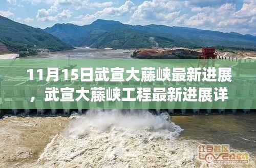 武宣大藤峡工程最新进展报告,11月15日更新及初学者技能指南