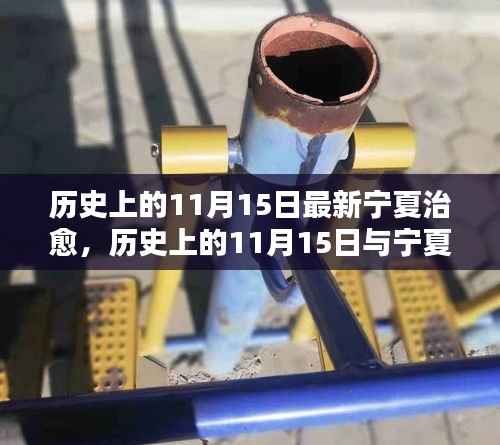 历史上的11月15日,宁夏治愈之路的里程碑事件探讨
