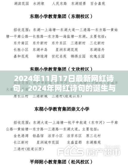 一句成诗,千古传颂,2024年网红诗句的诞生与影响