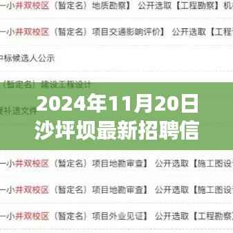 把握未来,从沙坪坝招聘启航,最新招聘信息,新机遇等你来挑战(2024年11月)
