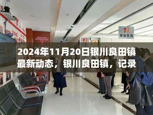 银川良田镇最新动态回顾,记录崭新篇章的2024年11月20日