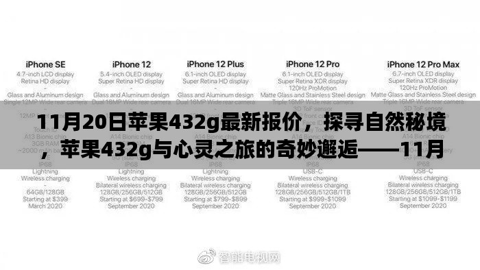 联系我们 第314页