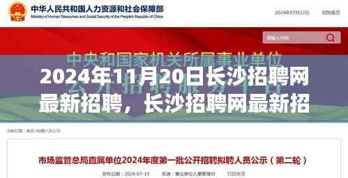 长沙招聘网最新求职指南,一步步教你如何求职成功(初学者与进阶用户适用)
