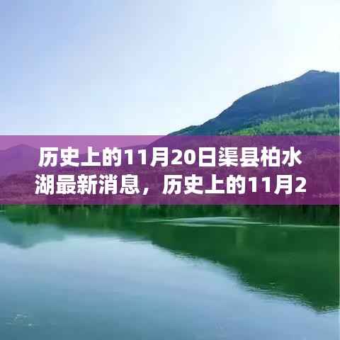 营销网络 第315页