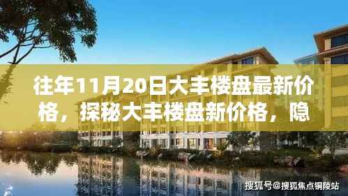 探秘大丰楼盘最新价格与小巷深处的独特风情小店