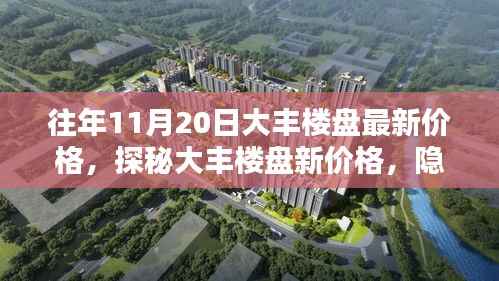 探秘大丰楼盘最新价格与小巷深处的独特风情小店