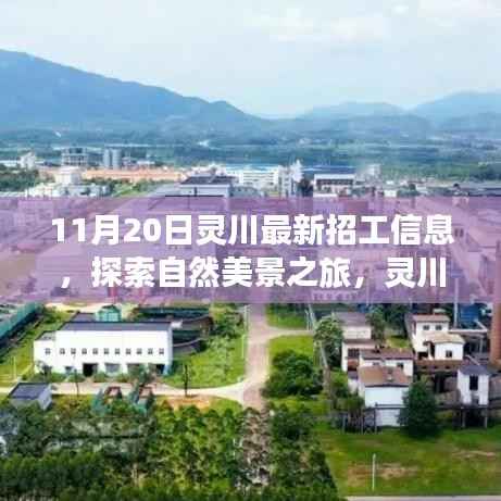 联系我们 第309页