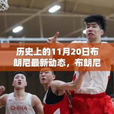 布朗尼的特殊日子,历史上的11月20日的温馨回忆与最新动态