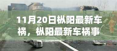 枞阳最新车祸事件处理指南,应对突发车祸,保护自身权益须知