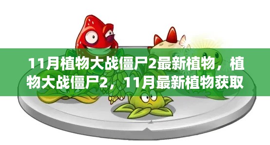 植物大战僵尸2,11月最新植物获取与使用指南揭秘