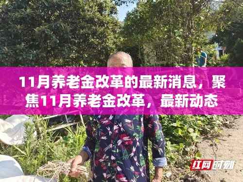 聚焦11月养老金改革,最新动态与深度解读揭秘改革进展