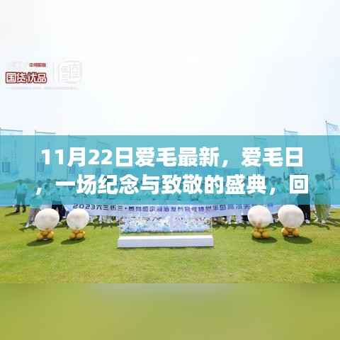文质彬彬 第7页