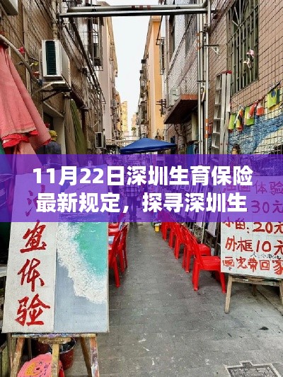 深圳生育保险新规定下的巷弄秘境,探寻隐藏小巷的特色小店