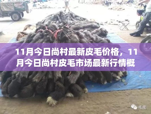 神采奕奕 第7页