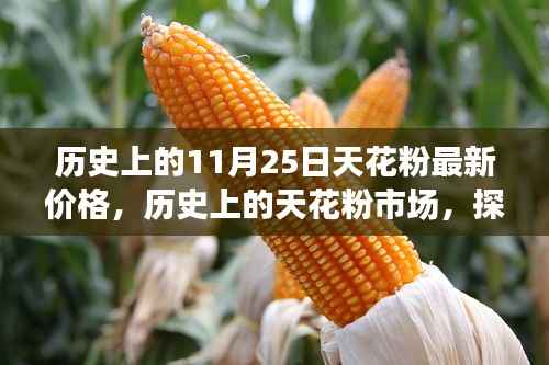 历史上的11月25日天花粉最新价格,历史上的天花粉市场,探寻11月25日价格变迁的轨迹