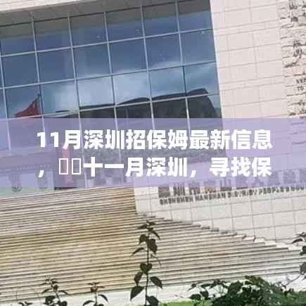 11月深圳招保姆最新信息,十一月深圳,寻找保姆之旅,一场自然美景的宁静拥抱