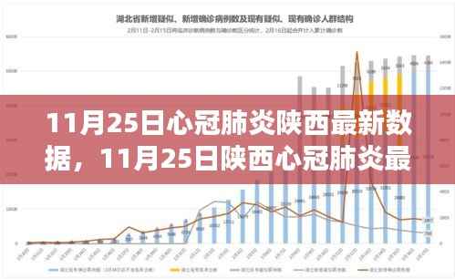 陕西新冠肺炎最新数据报告(截至11月25日),疫情动态分析与防控洞察