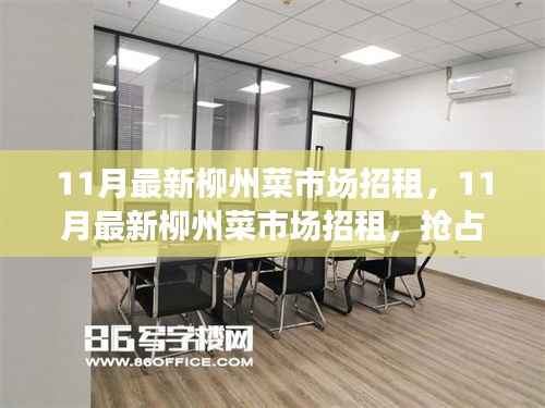 11月最新柳州菜市场招租，11月最新柳州菜市场招租，抢占黄金商铺，开启财富之门