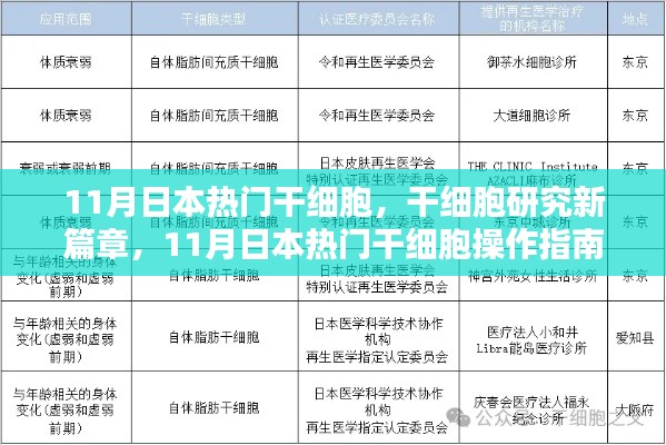 11月日本热门干细胞研究新篇章与操作指南,从初学者到进阶用户的必备指南