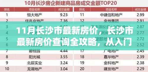 长沙市最新房价指南,从入门到精通,11月房价查询全攻略