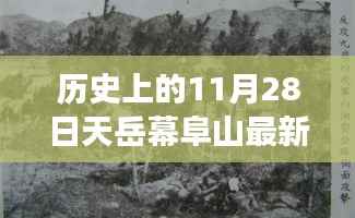 admin 第6页