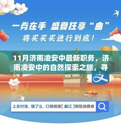 济南凌安中的自然探索之旅，寻找心灵的宁静与和谐之职务揭秘