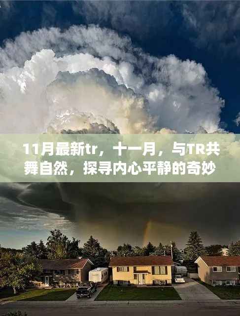 11月最新tr,十一月,与TR共舞自然,探寻内心平静的奇妙之旅