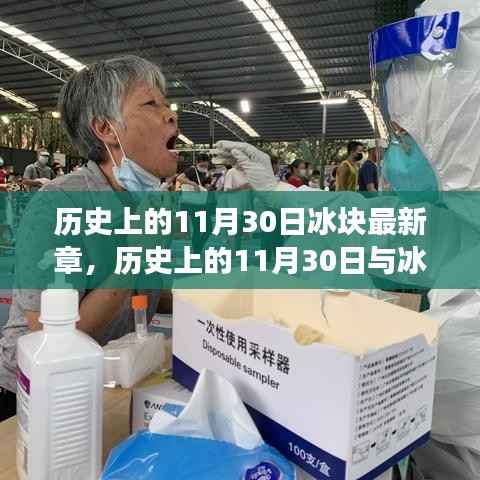 历史上的11月30日与冰块最新章,深度解读与观点阐述