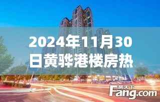 黄骅港新楼盘启幕,与自然共舞,探索宁静港湾的热门开盘日