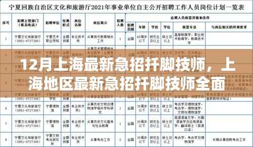 12月上海最新急招扦脚技师,上海地区最新急招扦脚技师全面评测与介绍