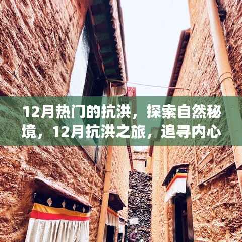 联系我们 第277页