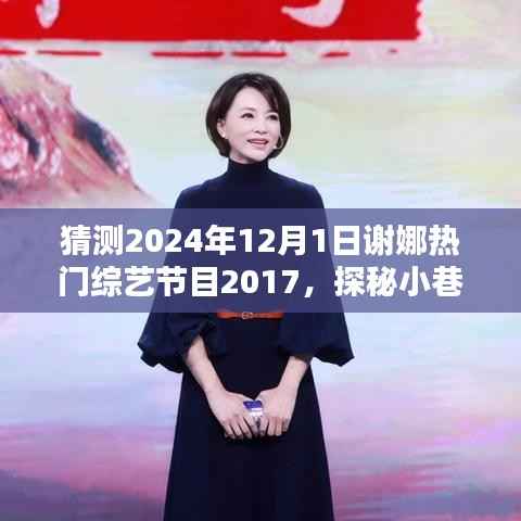 探秘小巷深处的独特魅力,谢娜综艺节目背后的隐藏小店与未来综艺节目展望(2024年最新预测)