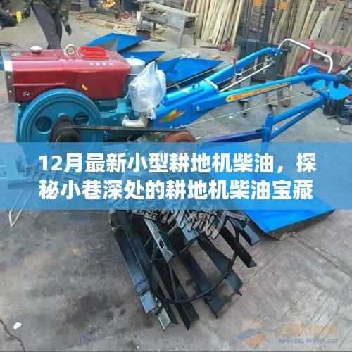 探秘隐藏版农机配件小店,12月最新小型耕地机柴油宝藏之旅