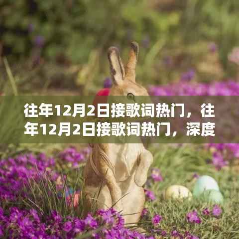 往年12月2日接歌词热门,往年12月2日接歌词热门,深度测评与介绍