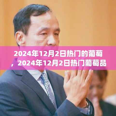 2024年热门葡萄品种市场趋势与品鉴指南